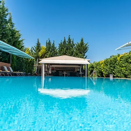 Anilio Plaza זכארו