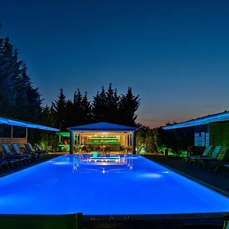 Anilio Plaza 4* זכארו