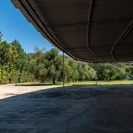 Anilio Plaza Zacharo