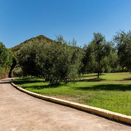 Anilio Plaza Zacharo