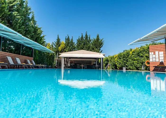 Anilio Plaza Захаро